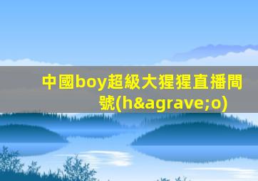 中國boy超級大猩猩直播間號(hào)